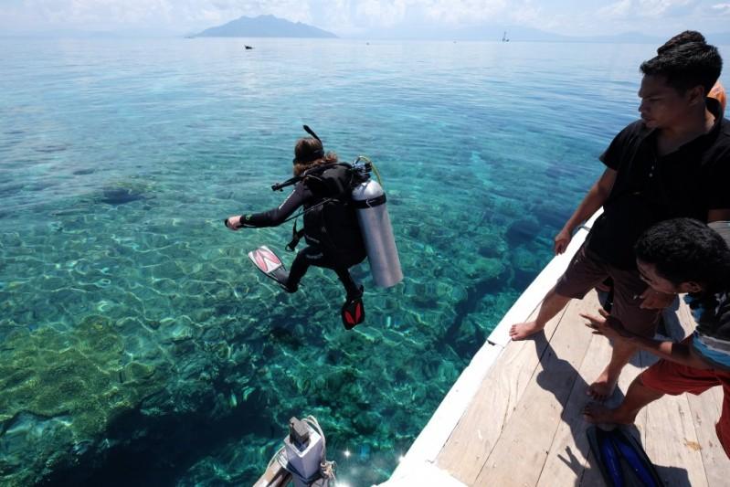  Yuk Intip, Ada Spot Diving Istimewa di Wairterang Maumere