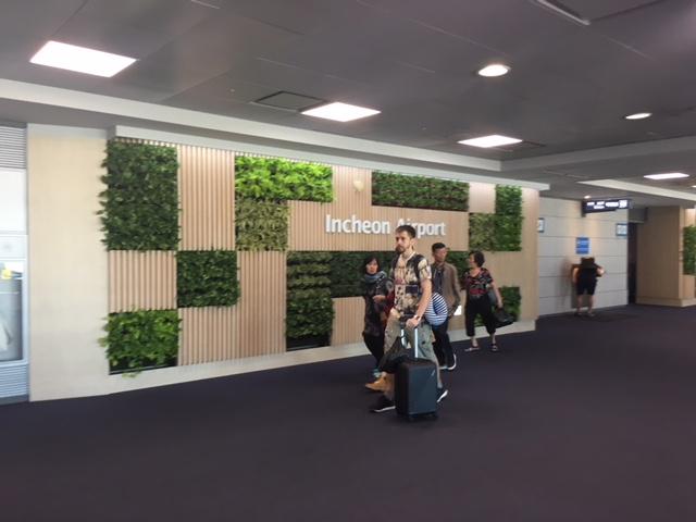  4 Hal yang harus Dilakukan Sebelum Berangkat ke Korea Selatan