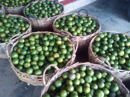  Oleh-Oleh Khas Pasaman Barat
