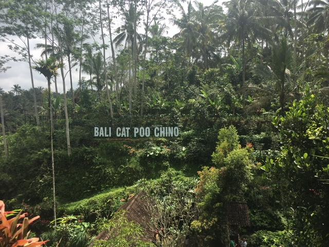  Menyesap Kopi & Teh di Agrowisata Satria