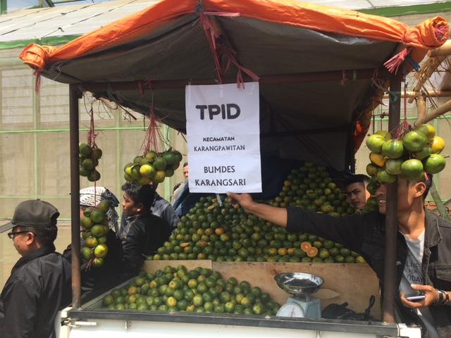  Garut Ternyata Punya Agrowisata Jeruk 