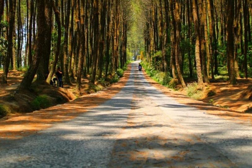  Gaya Abis di Top Selfie Kragilan