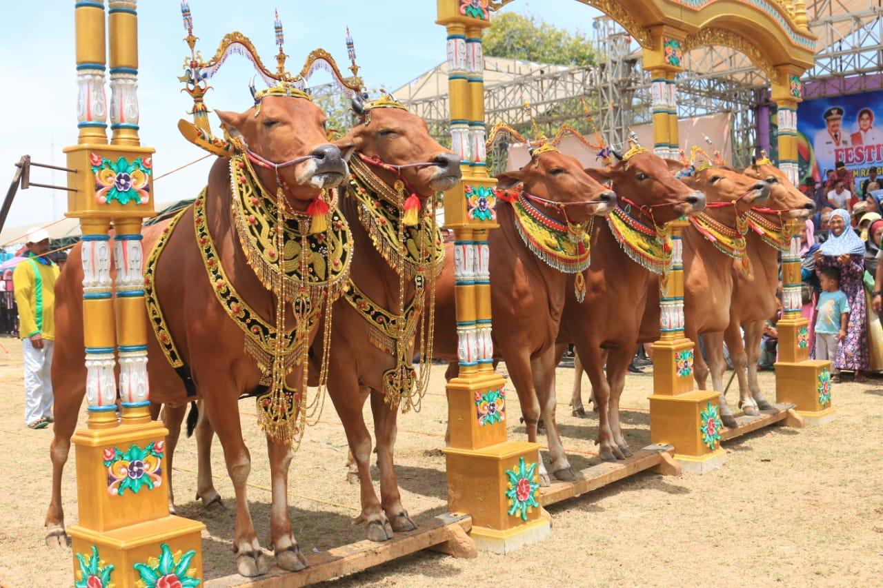  Cantiknya Lenggak-Lenggok Sape Sono