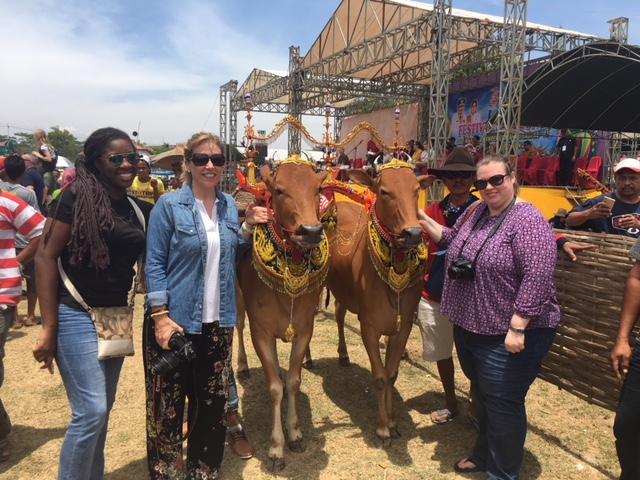  Kontes Sape Sono Dilirik Wisatawan Asing