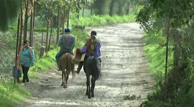  Ada Desa Wisata Edelweiss di Pasuruan dan Probolonggo