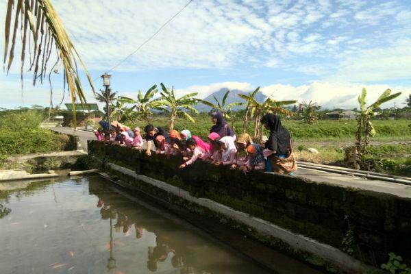  Desa Bokesan, Kini Jadi Kampung Nila