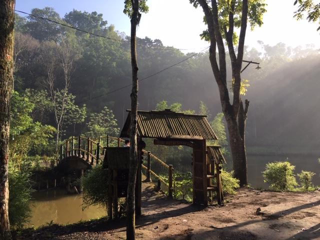  Desa Wisata Hutan Bambu ini Mesti Didatangi Saat Berwisata ke Malang