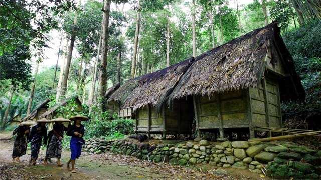  KLHK Tetapkan Tujuh Hutan Adat Baru