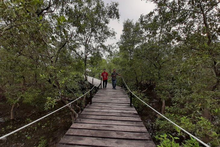  Jembatan Wisata Batu Limau Diminati Wisatawan