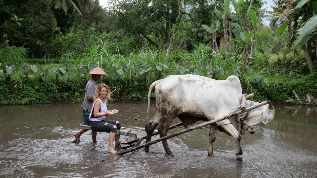  Wow! 4 Desa Wisata Indonesia Ini Masuk 100 Top Dunia