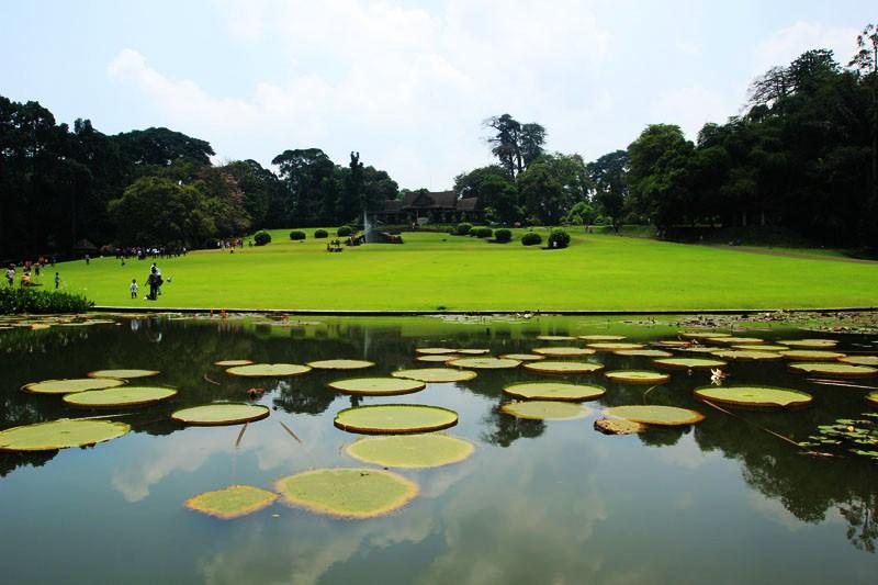  LIPI Tutup Kebun Raya Bogor dan 3 Kebun Raya Lainnya