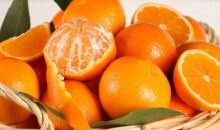 Vitamin C dan Zinc Disarankan untuk Jaga Daya Tahan Tubuh Saat Puasa Ramadhan