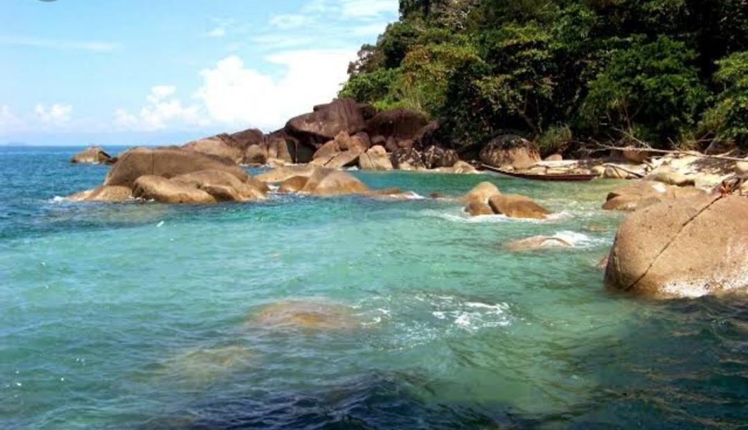  Pantai Paloh Sambas Jadi Kawasan Konservasi