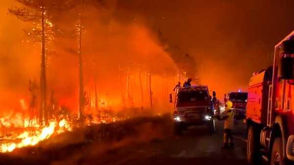 Musim Panas Memanas: Kebakaran Hutan Melanda Prancis, Spanyol, dan Portugal