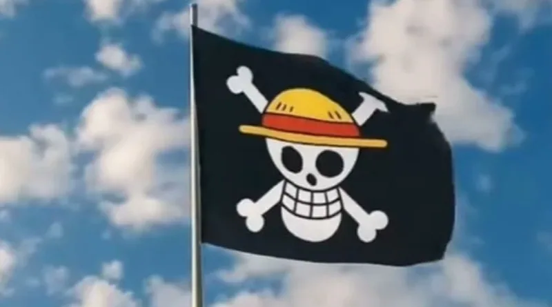 Menko PM: Pengibaran Bendera One Piece take Perlu Dikhawatirkan, Tapi Tetap Jaga Kesakralan Merah Putih