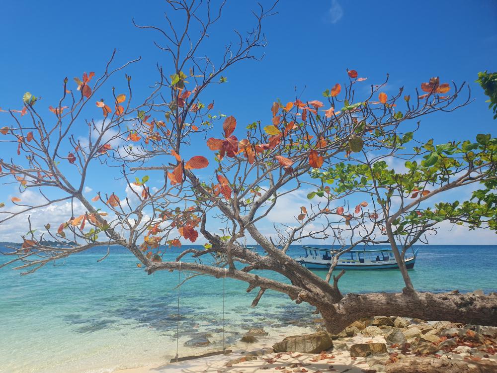  Pariwisata Butuh Investasi Cerdas untuk Tumbuh Berkelanjutan