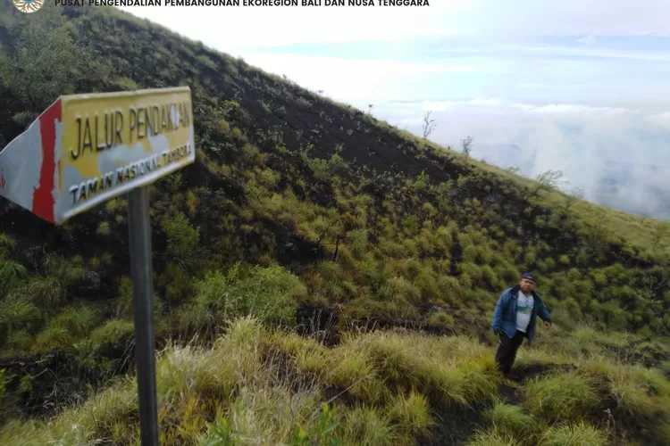  Jalur Pendakian Gunung Tambora Ditutup Sementara, Wisatawan Diminta Tunda Pendakian