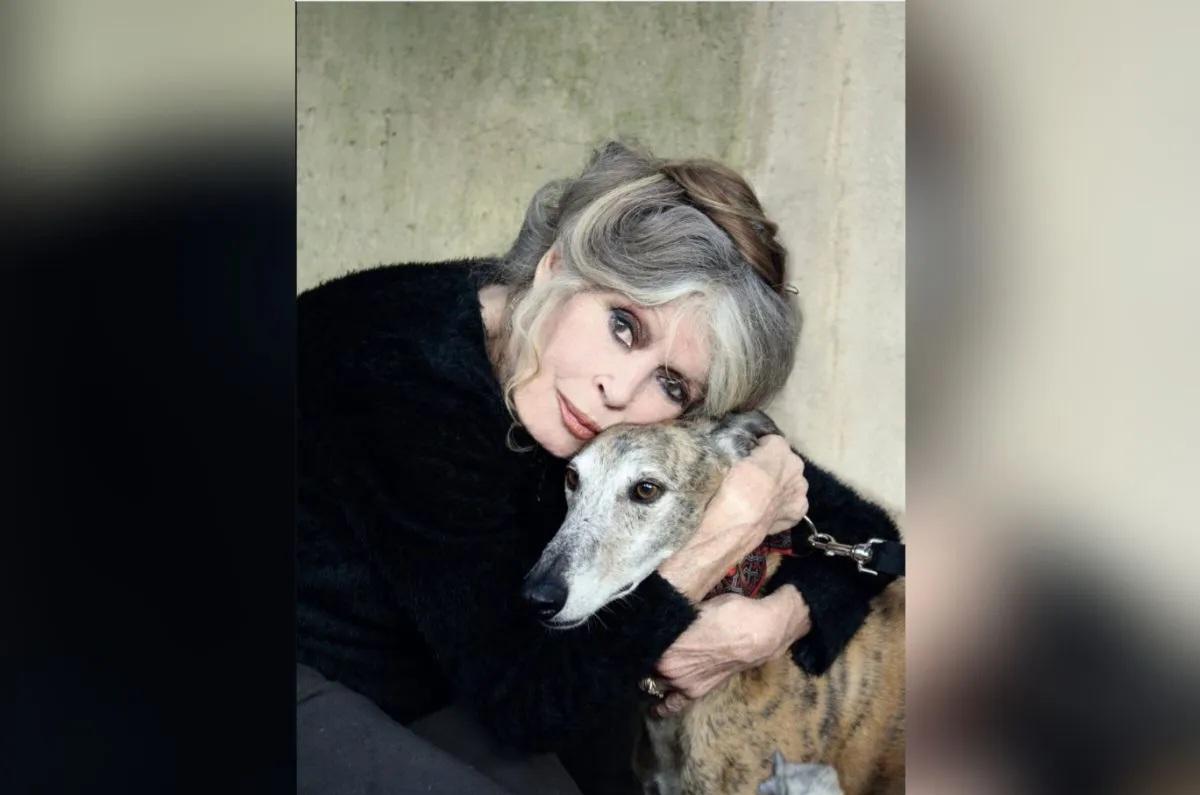 Emmanuel Macron Beri Penghormatan Terakhir untuk Brigitte Bardot: Prancis Kehilangan Legenda Abad Ini