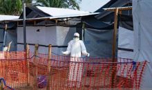 Studi Baru: Evolusi Virus Ebola Berperan Perpanjang Wabah Besar