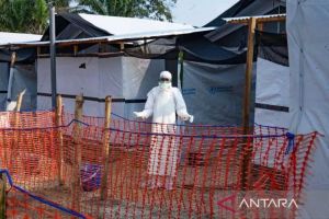 Studi Baru: Evolusi Virus Ebola Berperan Perpanjang Wabah Besar