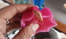 Usai Viral, Polisi Selidiki Klaim Penganiayaan Pedagang Es Gabus