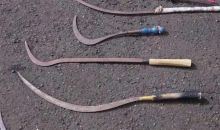 Enam Pemuda Diciduk Usai Tawuran di Pancoran, Polisi Sita Celurit hingga Samurai