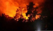 Kebakaran Hutan di Jepang Meluas, Ribuan Warga Dievakuasi dari Iwate