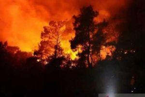 Kebakaran Hutan di Jepang Meluas, Ribuan Warga Dievakuasi dari Iwate