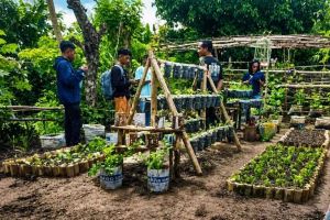 YFMG Hidupkan Pekarangan Warga Maumolo: Dari Lahan Kosong Jadi Sumber Pangan Mandiri