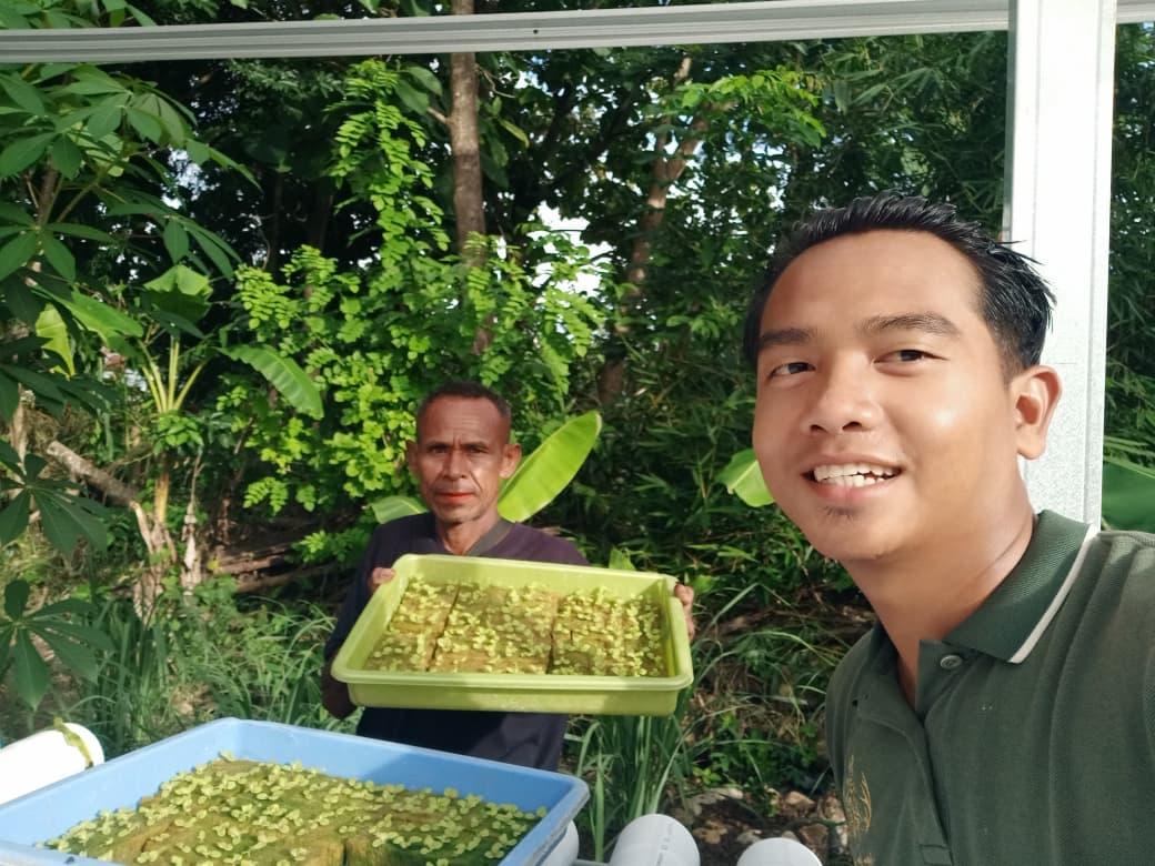Andre Setiawan, Anak Muda Penggerak Pertanian dari NKV yang Bangun Harapan Desa di NTT