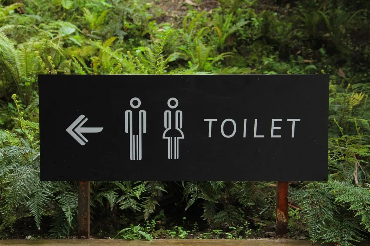 Hati-Hati! Main HP di Toilet Lama-Lama Bisa Sebabkan Wasir