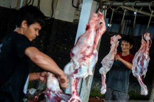 Cara Aman Menangani Hewan Kurban agar Terhindar dari Infeksi Kulit
