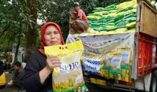  Bapanas Pastikan Harga Beras SPHP Tetap Stabil Meski Dolar AS Berfluktuasi