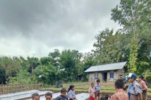 YFMG Ajak Pelajar SD dan SMP di Maumolo Belajar Bertani Lewat Program Tanam Cabai Bersama