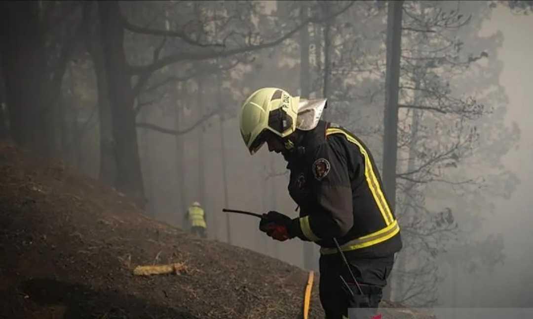 Kebakaran Hutan Besar di Prancis Hanguskan 4.600 Hektare, 10.000 Warga Dievakuasi