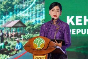 OJK: Perdagangan Karbon Kehutanan Buka Peluang Investasi Hijau, Indonesia Bidik Investor Global