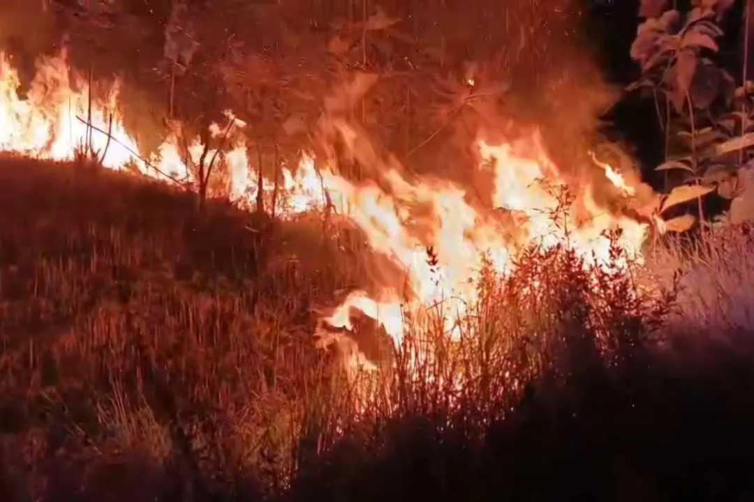 Kebakaran Hutan Meluas di Prancis Selatan, 12.000 Warga Dievakuasi dan Ribuan Hektare Lahan Hangus