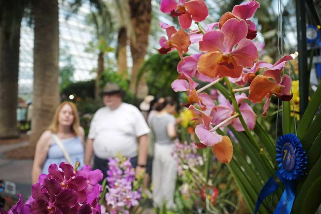 Angka Kelahiran Singapura Turun 11,4 Persen pada 2025, Tren Populasi Kian Mengkhawatirkan