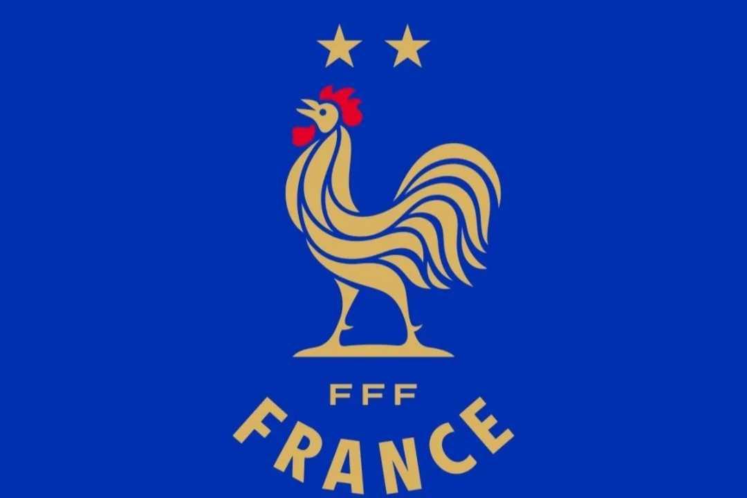 Logo Baru Timnas Prancis Resmi Diluncurkan, Simbol Era Baru Les Bleus Bersama Zidane