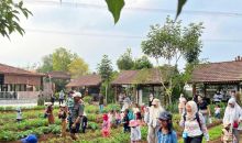 Belajar Tak Harus di Kelas, Jelajah Alam Nara Hadirkan Pengalaman Edukatif bagi Anak