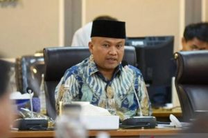 Survei Celios Sebut 75 Persen Responden Stres, Gerindra Pertanyakan Metode Penilaian