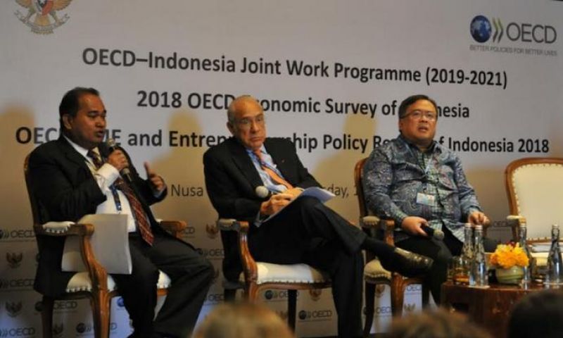 Utang Pemerintah Indonesia Tergolong Rendah, Begini Hasil Survei OECD