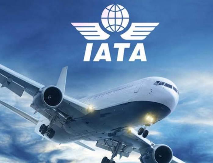  Indonesia Akan Bercokol di Jajaran Empat Besar Pasar Penerbangan Global