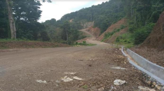  Akhir 2018, 64 Persen Jalan Trans Papua Barat Teraspal