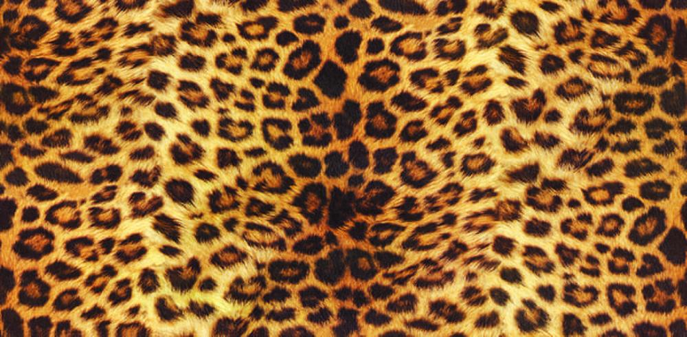  Motif Macan Tutul Akan Kembali Menjadi Tren Mode