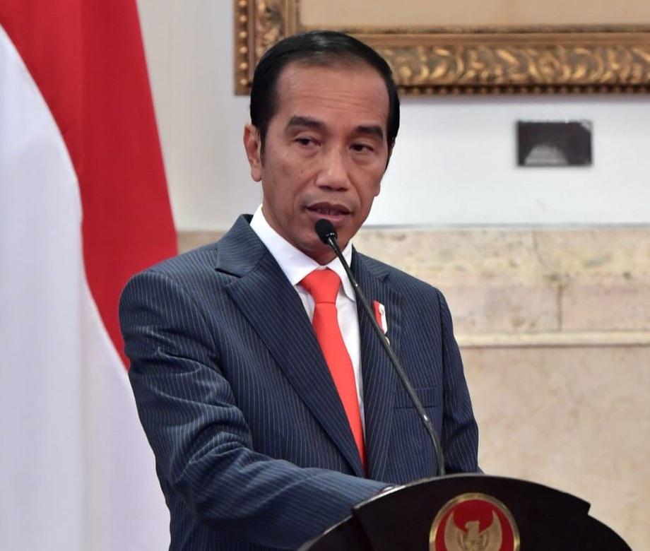 Presiden Lantik Letjen TNI Doni Monardo Sebagai Kepala BNPB