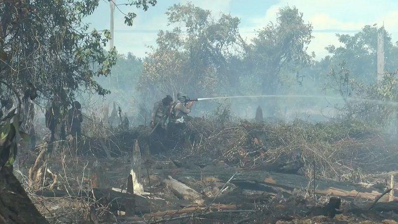  Kota Dumai Masih Diselimuti Asap Kebakaran Hutan