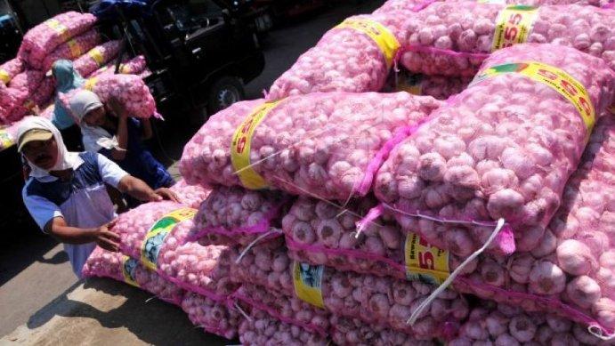  Peneliti Ini Ingatkan Rencana Pemerintah Impor Bawang Putih, Timbulkan Ekonomi Rente