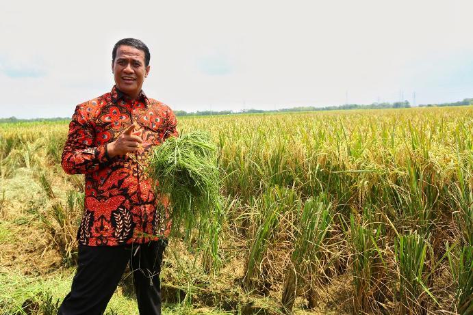 Mentan Minta Petani Lapor Bila Bantuan di Jateng tak Tiba Sepekan