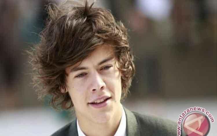  Harry Styles kut Audisi Peran Elvis Presley